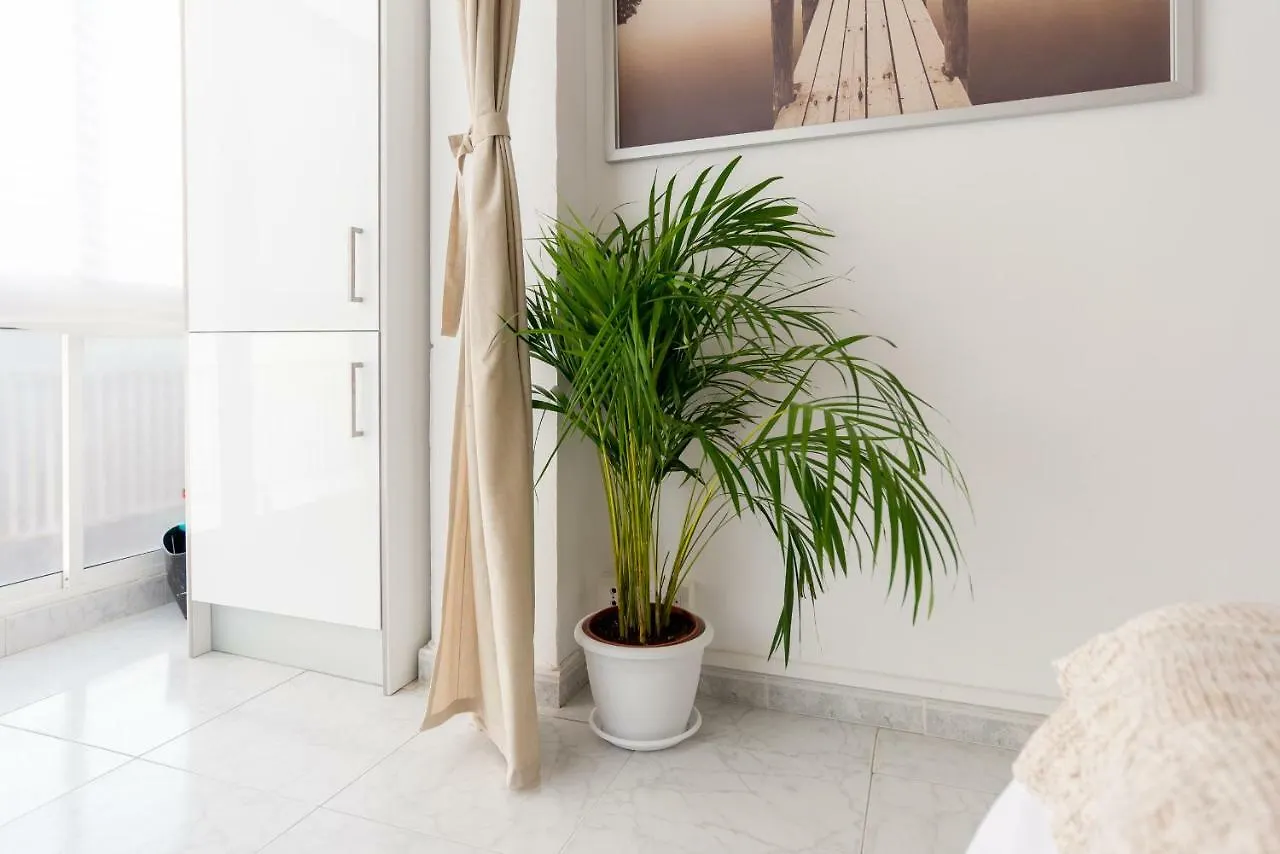 Mp1-Ocean Views Apt On The Beach Apartment Malaga